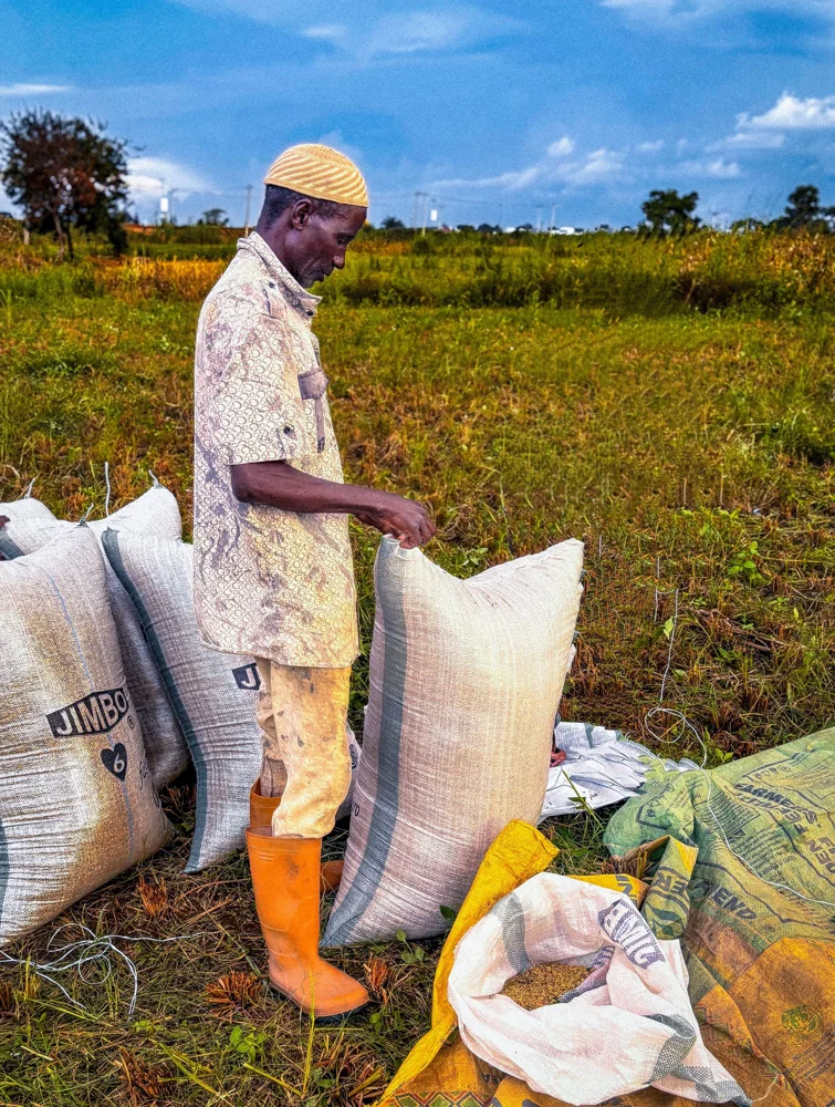 Agriculture · photo d’illustration Pexels / Edris Ibraheem