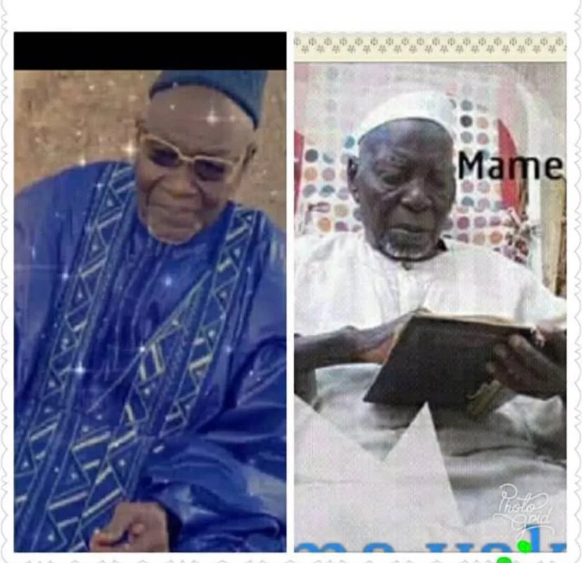 Portrait de Mbaye Fall